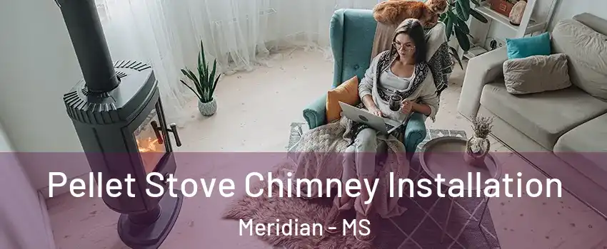  Pellet Stove Chimney Installation Meridian - MS