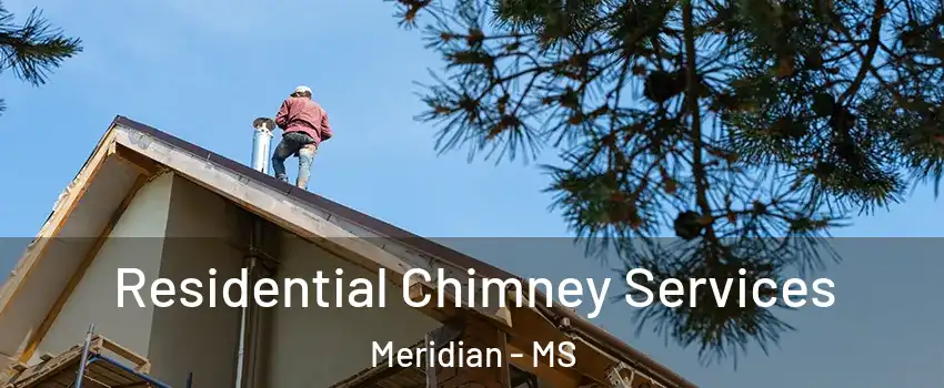  Residential Chimney Services Meridian - MS