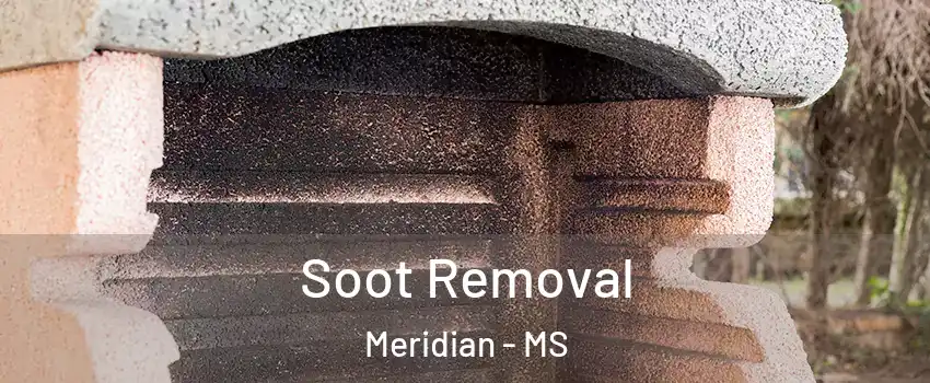  Soot Removal Meridian - MS