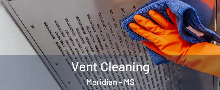 Vent Cleaning Meridian - MS