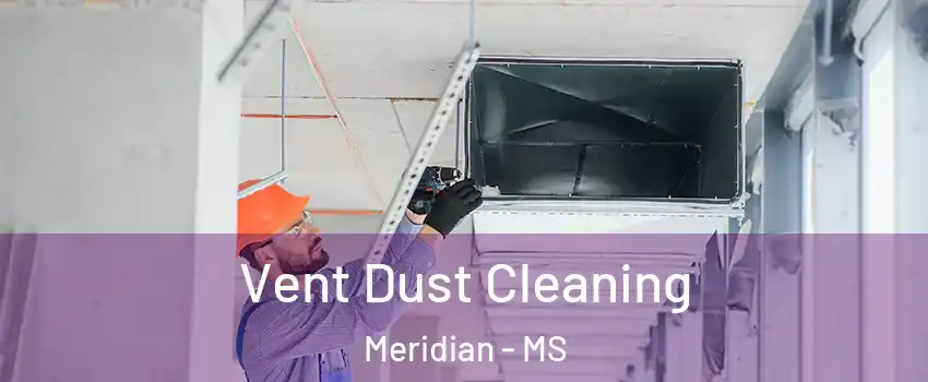  Vent Dust Cleaning Meridian - MS