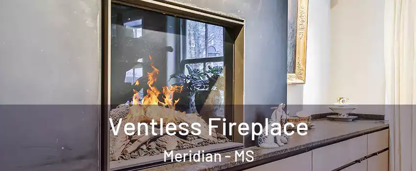  Ventless Fireplace Meridian - MS