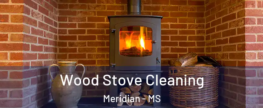  Wood Stove Cleaning Meridian - MS